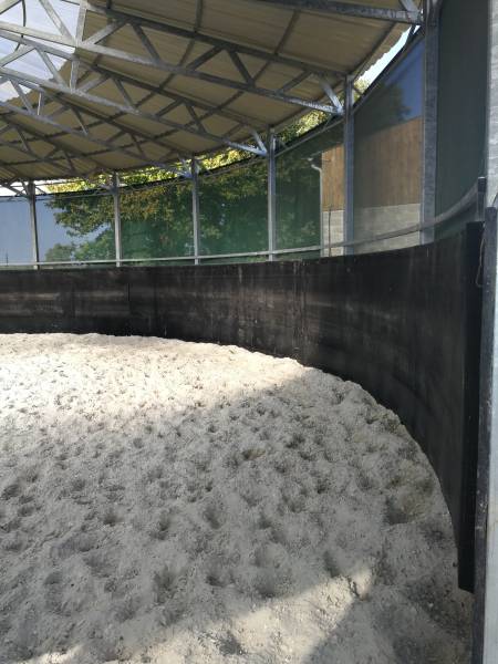 Rond de longe poru chevaux modèle Caoutchouc