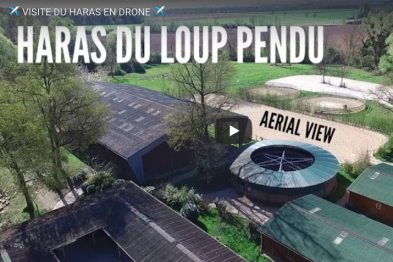 Un Marcheur CTL chez le Haras du Loup Pendu